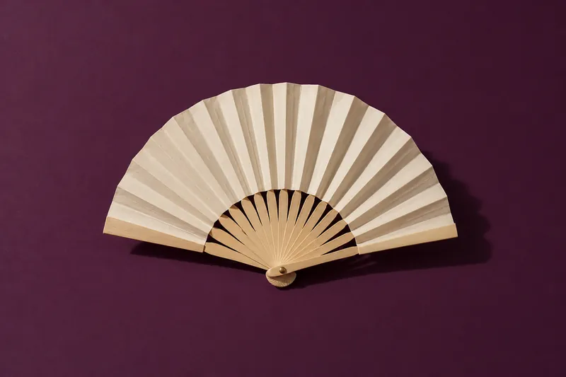 A cream paper hand fan, half open, on deep aubergine paper.